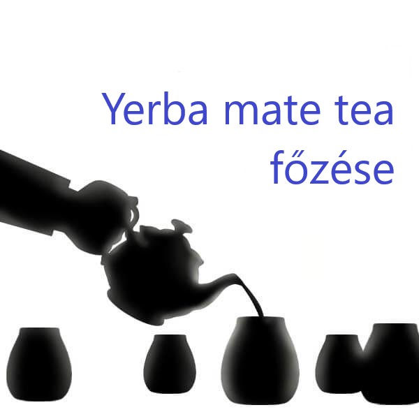 Yerba mate tea főzése. Kezdő útmutató