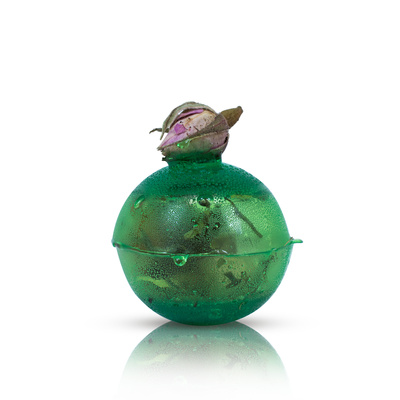 Mary Rose – Sunny Garden teatömés (mini)