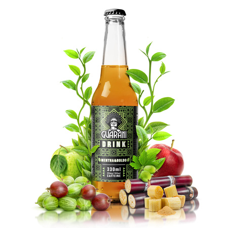 Fruit Drink Guarani Mentha & Boldo 330 ml