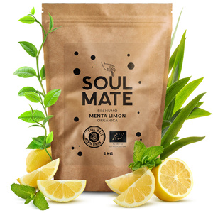 Yerba Mate készlet Soul Mate Organica 2x500g 1kg Mate Tökre + Bombilla