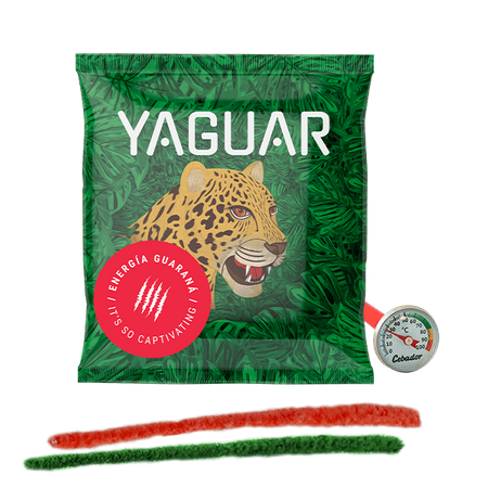 Yerba Mate tea 50g + hőmérő + tisztítószer készlet